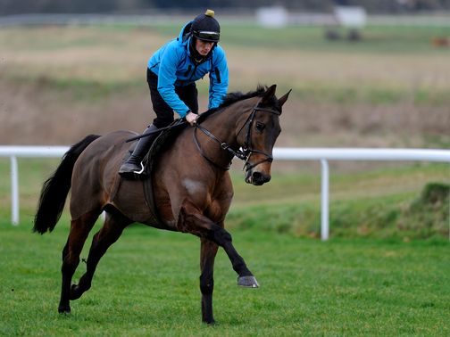 Imperial Commander: On his way back