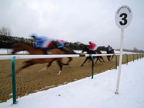Lingfield: Inspection called for Saturday