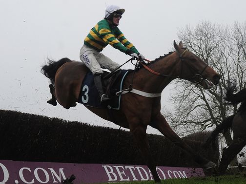 Malt Master on his way to victory in the novice chase&nbsp;
