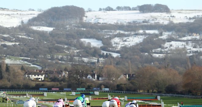 Jonjo O'Neill's Shutthefrontdoor may not line up at Cheltenham