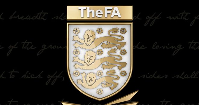 Football Association: Under fire from government committee