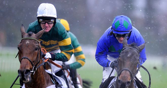 Binocular (left) ultimately proved no match for Hurricane Fly on Sunday