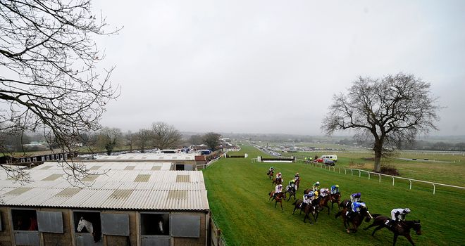 Plumpton: Raceday inspection