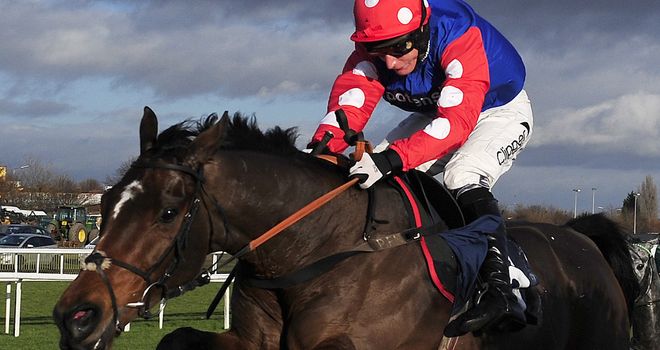 Rocky Creek: Puts Cheltenham credentials on the line