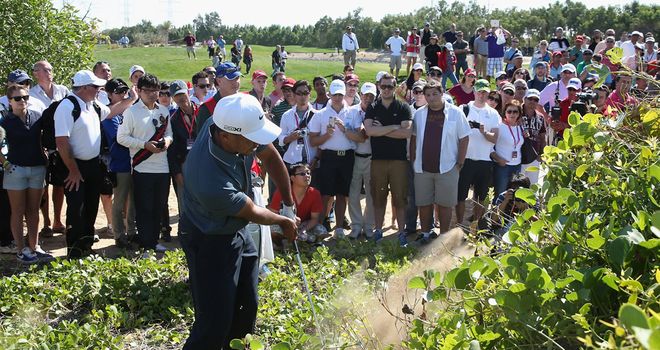 Tiger Woods: Hacks out at the fifth hole having driven into undergrowth