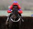 Sprinter Sacre (FR)