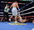Lucas Matthysse: Will not put his 'interim' belt on the line against Peterson