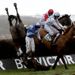 One of Katenko's main rivals, Bold Sir Brian, took this crashing fall (he got up fine)