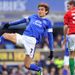 Nikica Jelavic tries to make something happen in Everton's clash with Swansea
