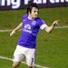 Leighton Baines celebrates after giving Everton the lead against West Brom
