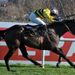 Glens Melody wins the mares' novices'  hurdle under Paul Townend