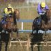 Odds-on favourite Urano (right) leads over the last in the opener...