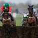 Salden Licht wins the novice chase for Robert Thornton and Alan King