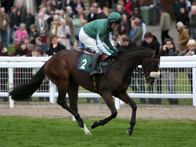 Court Minstrel: Handicap option at the Cheltenham Festival