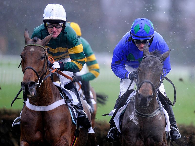 Binocular and Hurricane Fly are the star names in the Irish Champion...