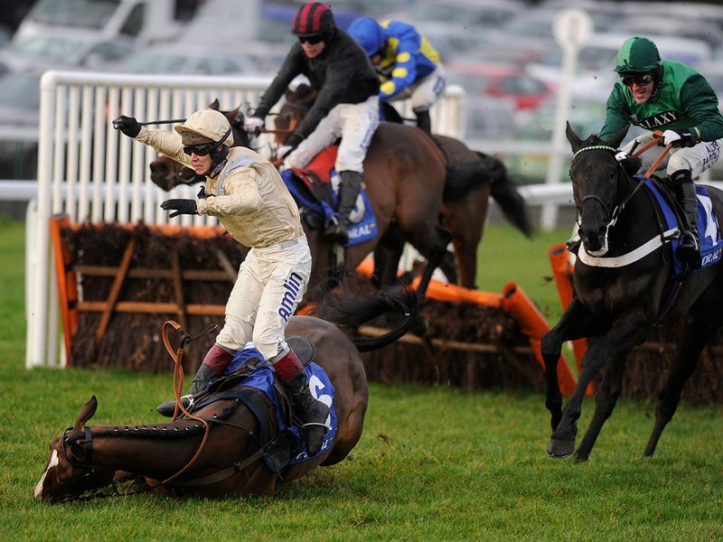 Drama in the Grade One Finale Hurdle - Swnymor falls at the last when looking all set to win