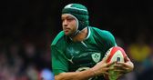 Lions rejects XV