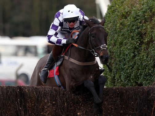 Gwanako lands the feature race at Sandown