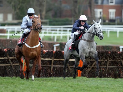 Tominator (right): Fancied for the Paddy Power Imperial Cup