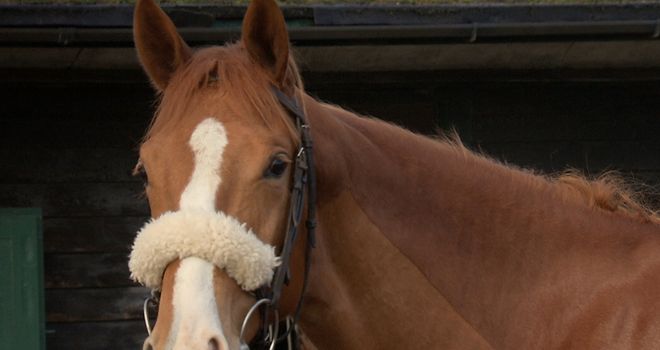 On Demand: Needs a little more time before she's ready to run