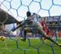 Morgan Schneiderlin: Ended a flowing move to give Southampton lead