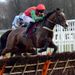 Two Rockers impresses at Haydock - just as our man Wayne Hutchinson hoped he would