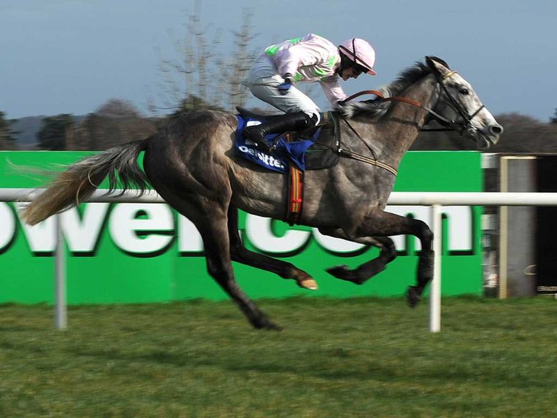 Champagne Fever bounced back to winning form at Leopardstown