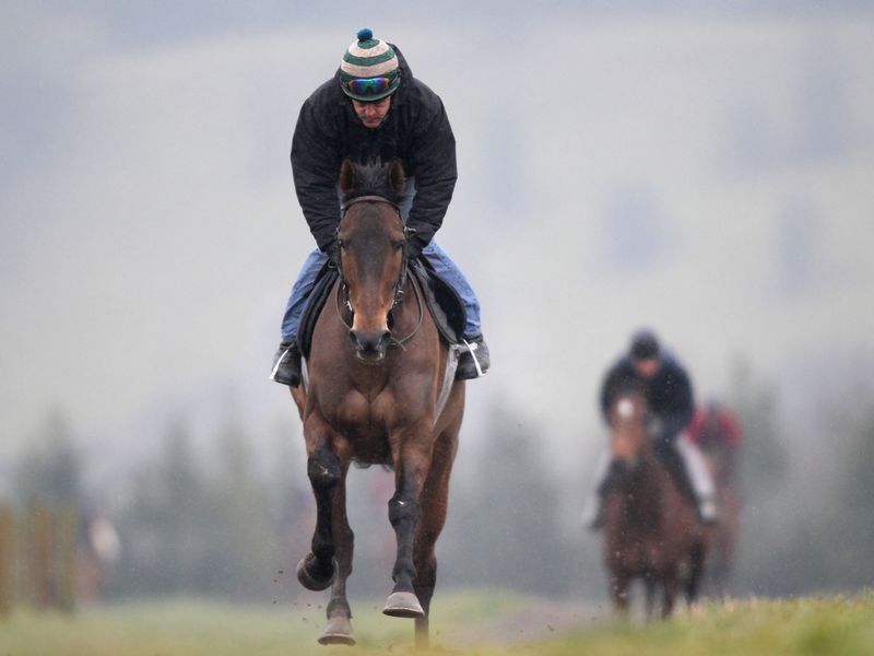 ...but Imperial Commander leads them up the gallops