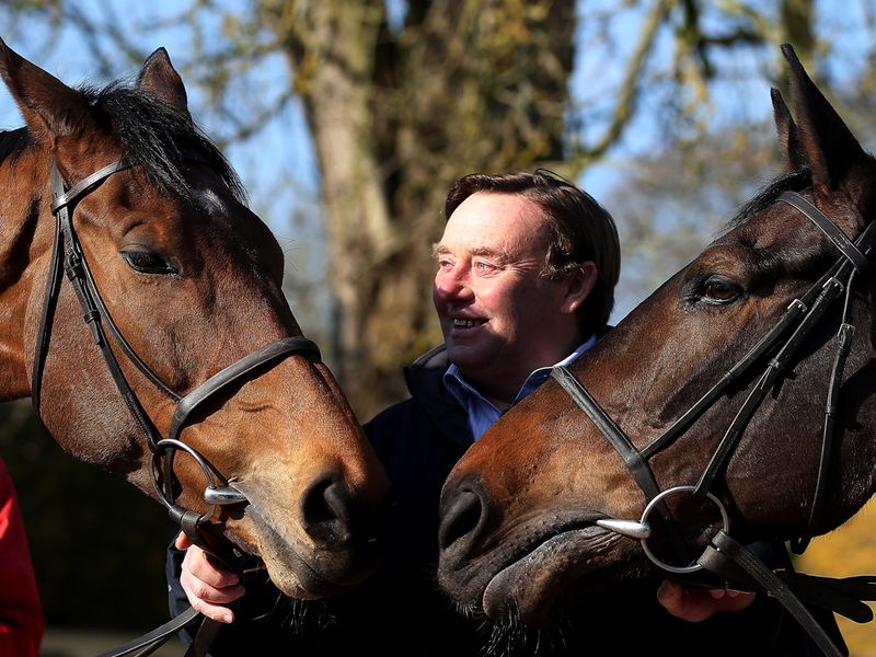 Cheltenham Gold Cup hopes Bobs Worth and Long Run