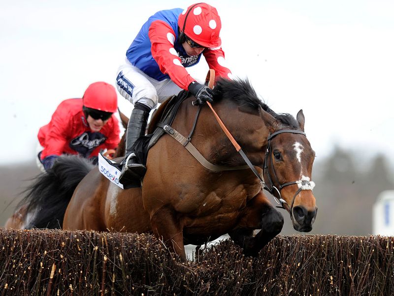 Rocky Creek ran on stoutly to land the Reynoldstown from Houblon Des Obeaux