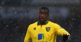 Canaries review