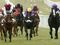 Ascot Angles