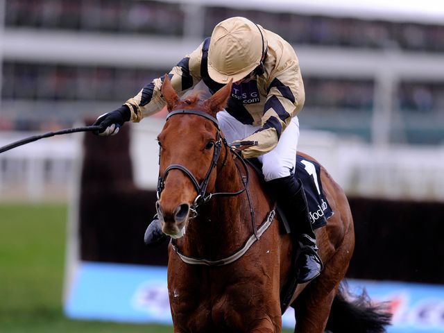 Back In Focus: Runs at Punchestown on Tuesday