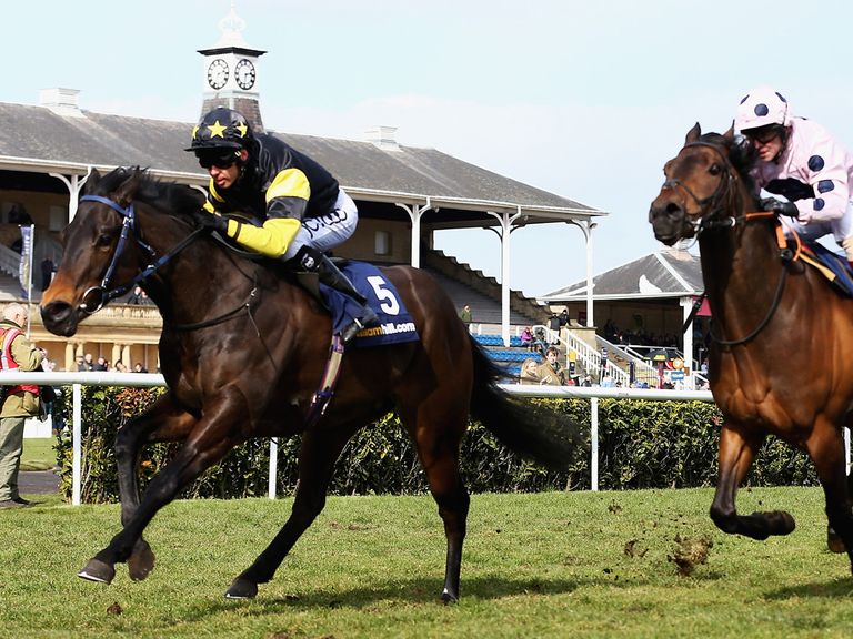 Jack Dexter (left): High draw for Ayr Gold Cup