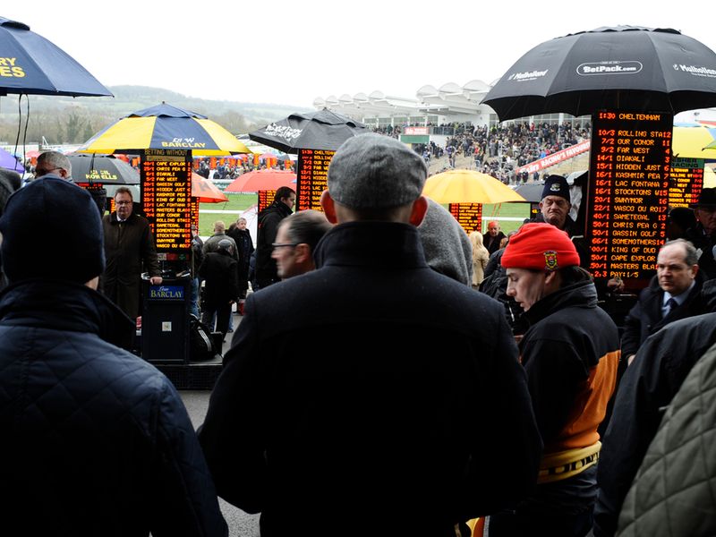 Punters wait to pounce in the betting jungle