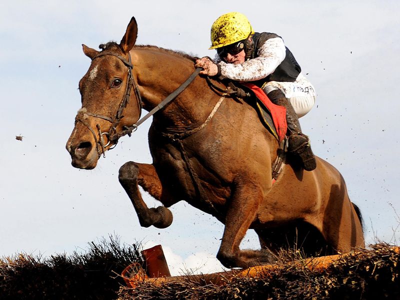 ...and in the very next race Kaylif Aramis