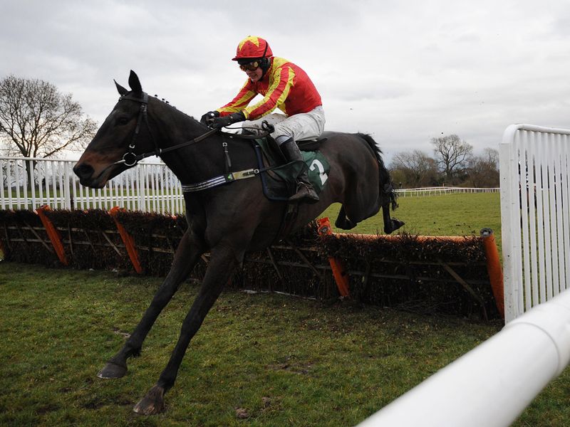 Torrential rane wins the novice handicap hurdle under Tom Cannon