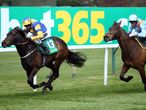 Punchestown Day Four & Sandown