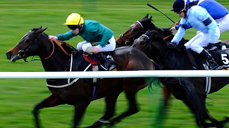 Windhoek: Could run in the Dante Stakes