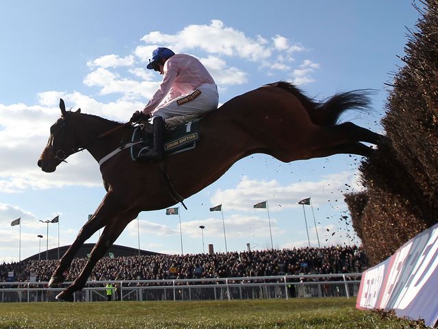 Captain Conan: 'A proper horse'