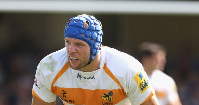 James Haskell: tendinitis has troubled him for the last decade