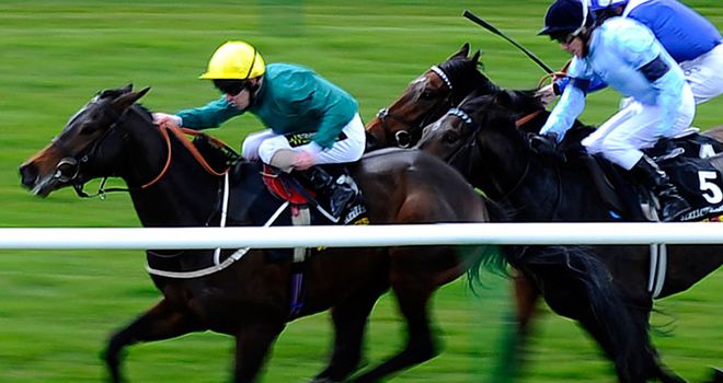 Windhoek: Could run in the Dante Stakes