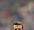 What next for Becks?
