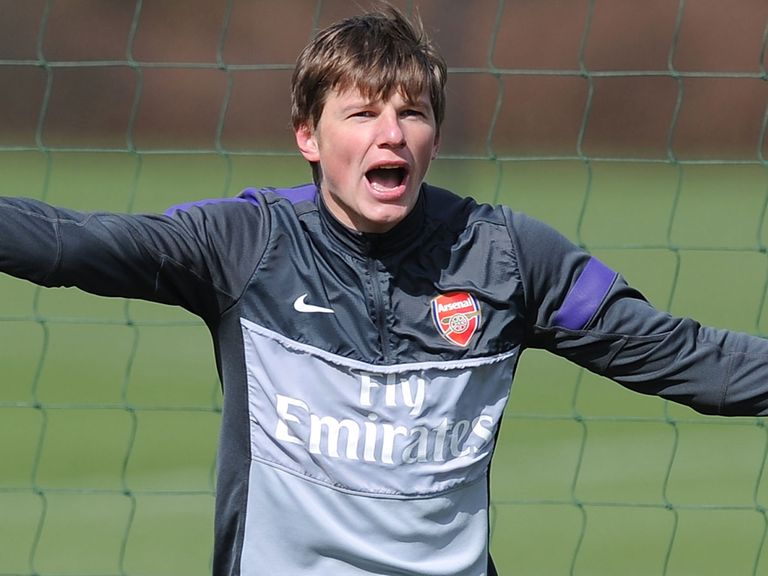 Andrey Arshavin: Likely to leave Arsenal at the end of his contract this summer