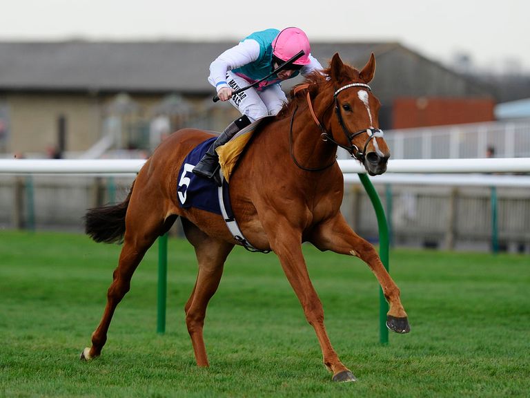 Hot Snap: In 'good order' for Ascot