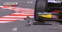 Hot bird in GP2