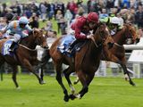Beldale Memory lands the opener