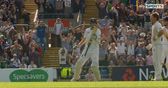 Player of the Day - Root