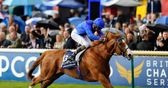 Dawn Approach is a star in the Derby field, says Ed Chamberlin