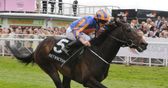 Alex Hammond tips Magician for Irish 2000 Guineas